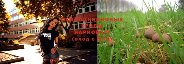 а пвп мука Каменка