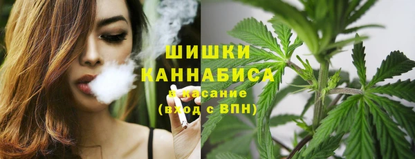 ECSTASY Каменск-Шахтинский