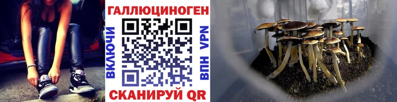 Купить где  Горячий Ключ  Псилоцибиновые грибы мухоморы 